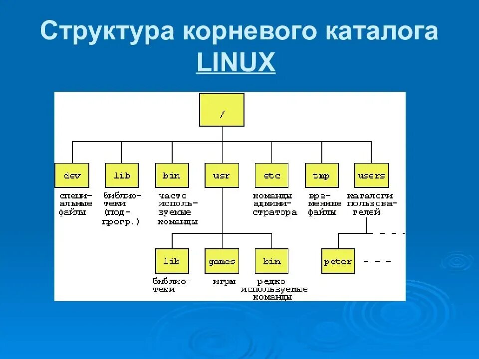 Каталоги 1 уровня. Файловая система Linux структура каталогов файловой системы. Структура каталогов ОС Linux. Иерархия файловой системы Linux. Структура каталога файловой системы Linux.