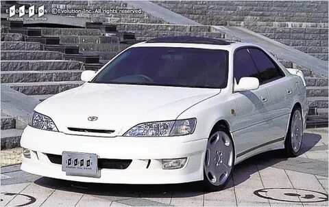 Виндом 300