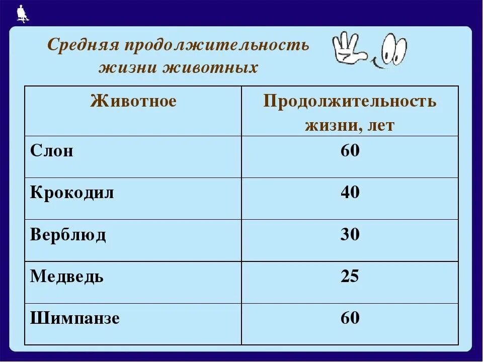 Сколько живут. Средняя Продолжительность жизни животных таблица. Продолжительность жизни животных таблица 1. Сколько лет живут животные таблица 1 класс. Продолжительность жизни лесных животных таблица.