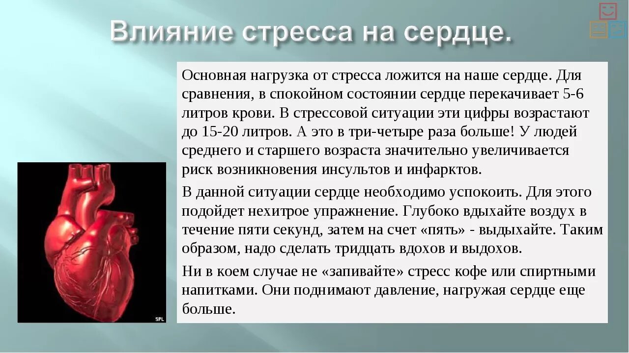 стрессы сердечно сосудистой системы. стрессы сердечно сосудистой системы. стресс мозг. сердечно-сосудистые заболевания. стрессы сердечно сосудистой системы.