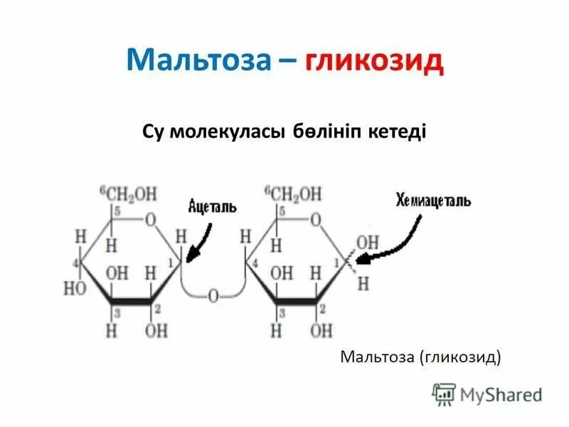 Химические свойства мальтозы