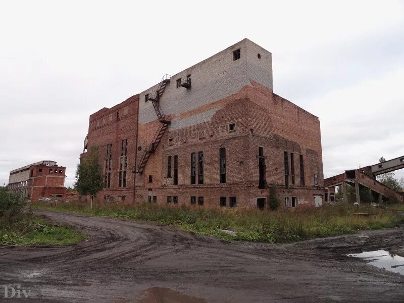 Вологодский заброшенный дск. Заброшенный домостроительный комбинат карелия. Домостроительный комбинат петрозаводск. Комбинаты петрозаводска. Домостроительный комбинат петрозаводск.