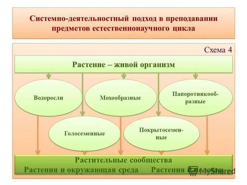 Мировоззренческие аспекты в специальной педагогике. Последовательность изучения схема. Развитие устной речи на уроках гуманитарного цикла. Преподавание предметов естественного цикла. Подходы к изучению цикла.