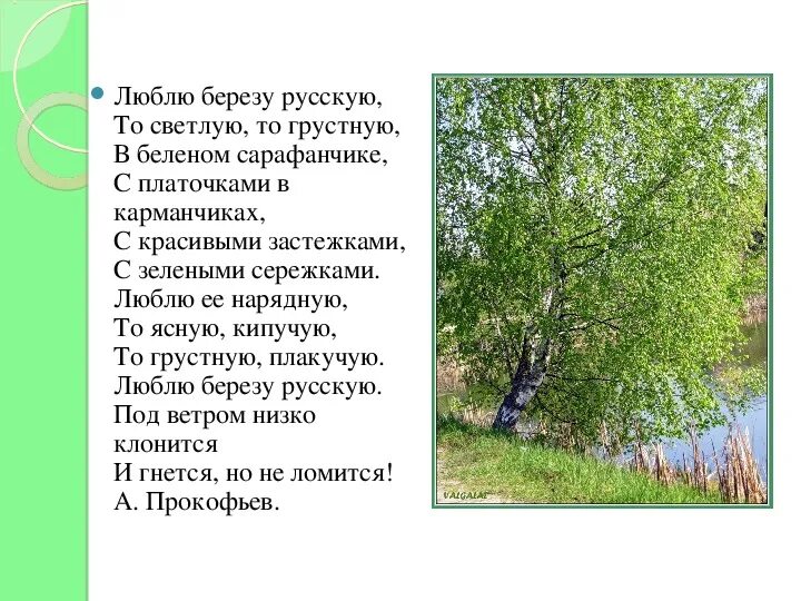 Пять шесть берез небольшими купами кое где. Стихи о русской березке. Пять шесть берез небольшими купами кое где. Храм уединенного размышления была у н. Дом господский стоял одиночкой на юру.