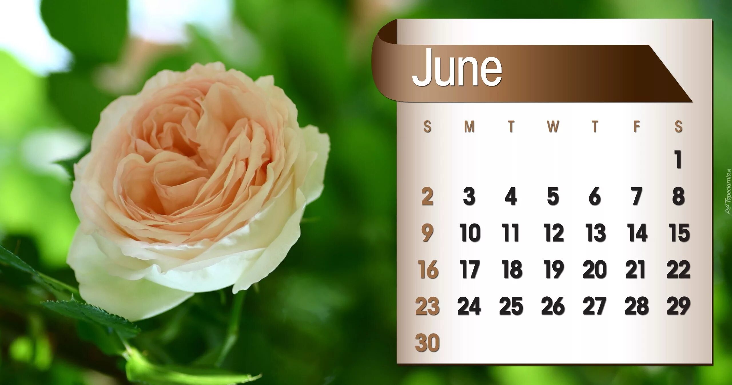 2 июня 2013. Календарь июнь. Календарик на июнь. Июнь 2013 года календарь. Красивый календарь.
