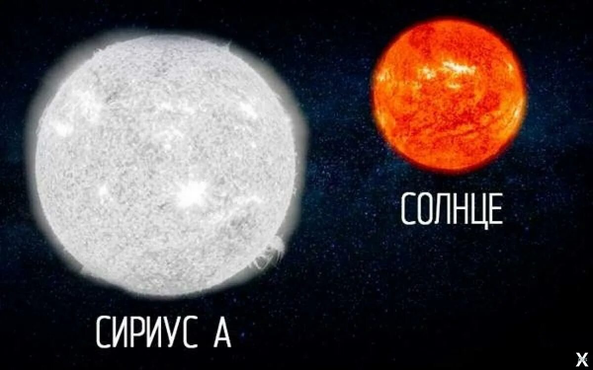 Сириус размер звезды по сравнению с солнцем. Сириус размер звезды. Самая большая звезда. Размеры Сириуса и солнца. Регул солнце сириус