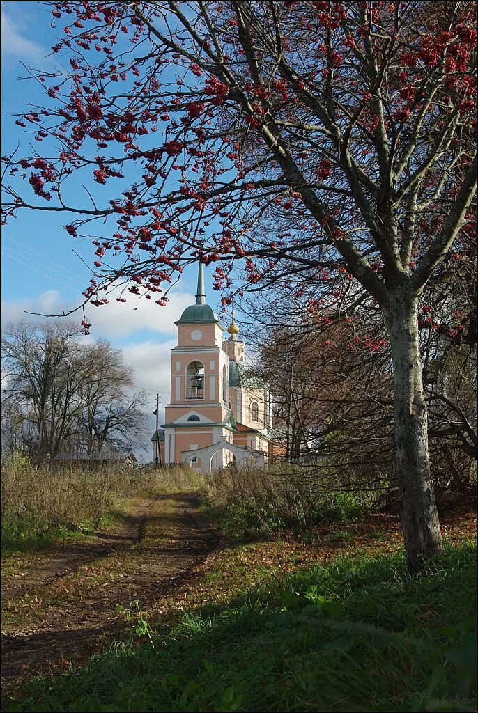 погода в ченцово тул обл синоптик