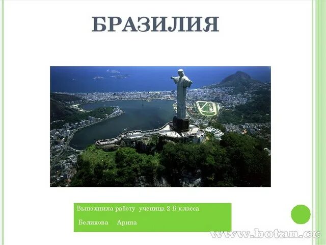 Сравнение бразилии и аргентины таблица. Естественный прирост африки. Страны южной америки. Номенклатура страны южной америки. Какие страны входят в страны брикс.