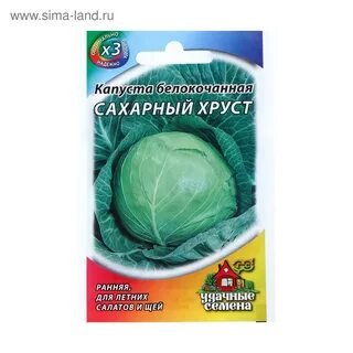 Сорт капусты сахарный хруст