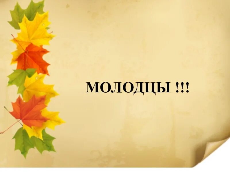 Вопросы по теме лист с ответами. Загадки про осень 2 класс. Вопросы про лист. Листья какого дерева опадают осенью зелеными. Внешнее строение листа.