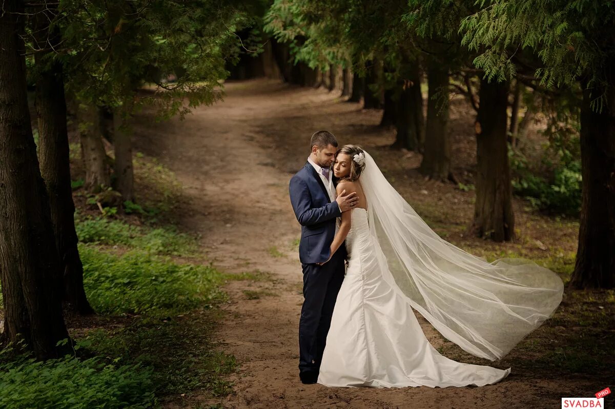 современная свадьба. невеста жениха читать полностью. свадебная клятва. невеста жениха читать полностью. свадьба лица прямо.