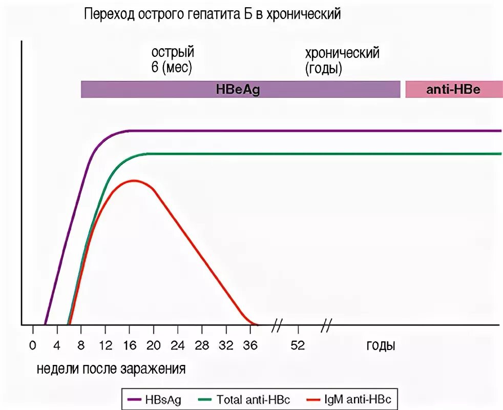 Острый гепатит маркеры. Вирусная нагрузка гепатит б. Маркеры гепатита д. Динамика маркеров острого гепатита б. Диагностические маркеры гепатита d.