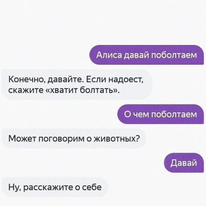 смешные диалоги с алисой. алиса давай. алиса давай предложи. алиса давай предложи. алиса давай поболтаем.
