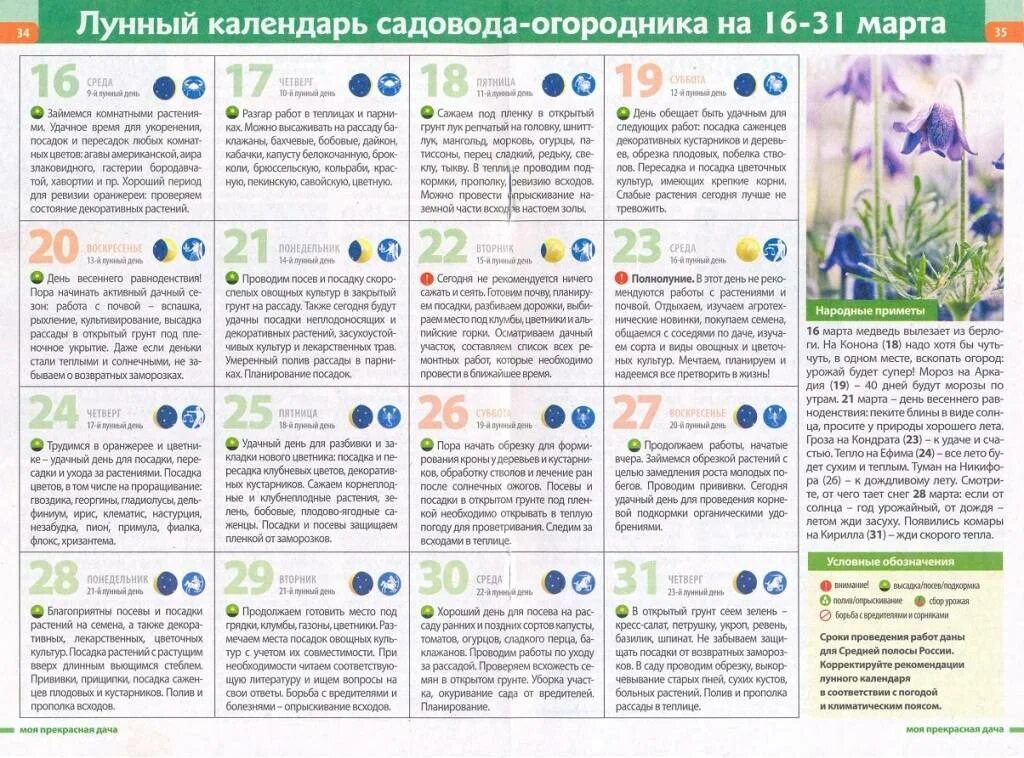 Лунный календарь цветов март