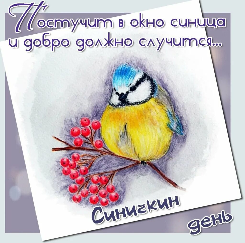 Доброе утро синичкин день. Синичкин день. день синички. день синицы. синичкин день открытка.