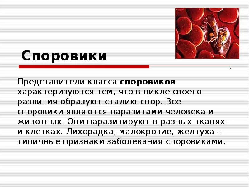 Выбери представителя этого класса. Споровики краткая характеристика. паразитические представители споровиков. паразитические представители класса споровики. общая характеристика типа споровики простейшие.