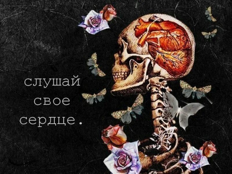 Слушать сердцу больше не справится. Слушай своё сердце. Соушай серд. Слушай своё сердце цитаты. Слушай сердце цитаты.