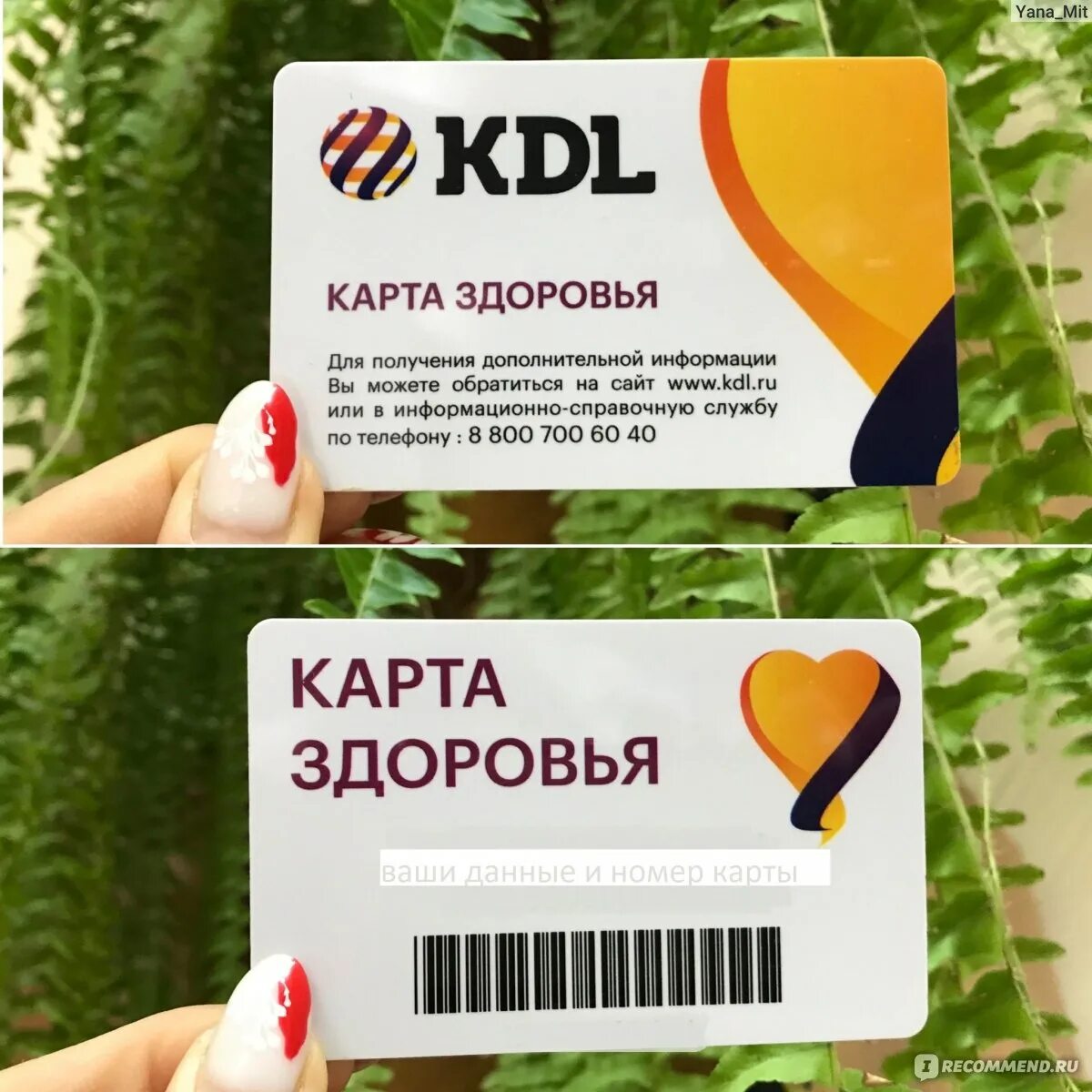 Карта здоровья. KDL карта. Карта здоровья КДЛ. Скидочные карта в лаборатории. Вход в кабинет кдл