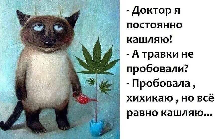 Болею всем все равно