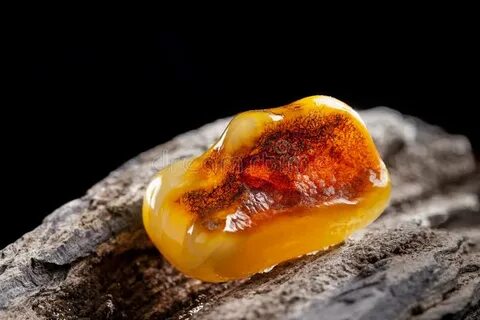 Amber natural