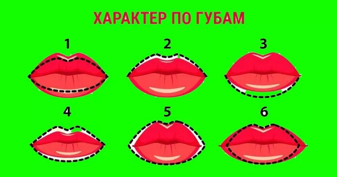 Формы губ. Характер по губам. Определить характер по губам. Виды губ. Как отличить губы