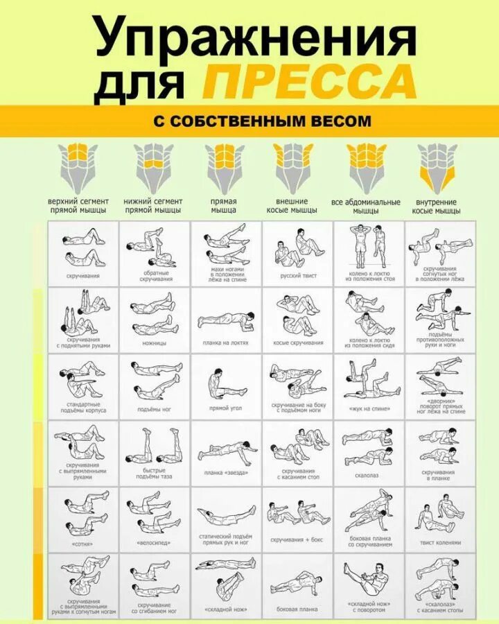 Тренировка мышц для начинающих. План тренировок в тренажерном зале для мужчин для пресса. упражнения с собственным весом в домашних условиях для начинающих. комплекс упражнений на все группы мышц в домашних условиях для мужчин. план тренировок на пресс для начинающих.