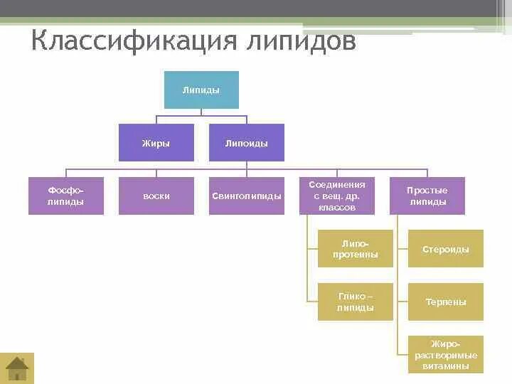 Классификация липидов таблица. Липиды классификация липидов простые и сложные. Основные классы липидов и их функции. Классификация липидов биохимия таблица. Липиды биологическая классификация.