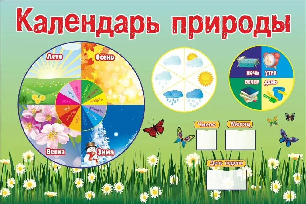 Картинка уголок природы в детском саду. Календарь природы. календарь природы для детского сада. календарь природы для детей в детском саду. уголок природы календарь.
