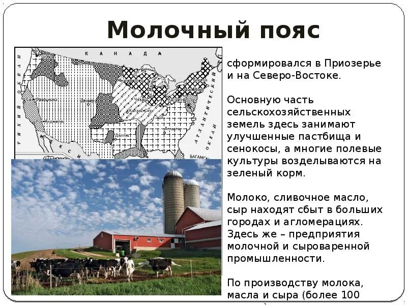 Сельскохозяйственные районы США молочный пояс. Сельское хозяйство США молочный пояс. Сельскохозяйственные пояса США. Молочный пояс США штаты. Главные сельскохозяйственные районы сша