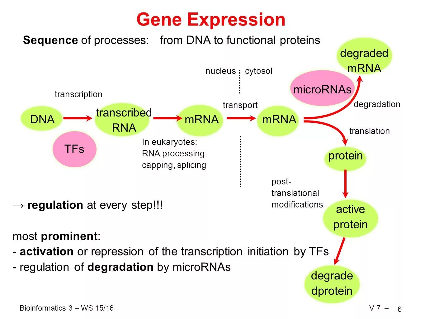 Studies in expression. Gene regulation. gene expression. gene expression regulation. предложение со словом gene.