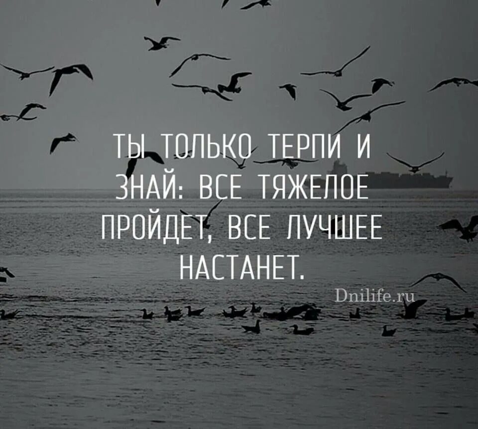 В тяжелые времена живем. Все проходит цитаты. Все пройдет цитаты. Все будет хорошо цитаты. Тяжело цитаты.