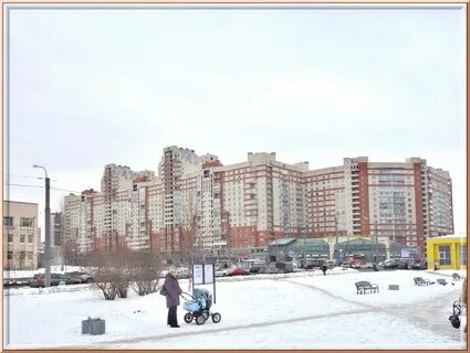 Просвещение д 33