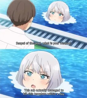 Senpai Of The Pool