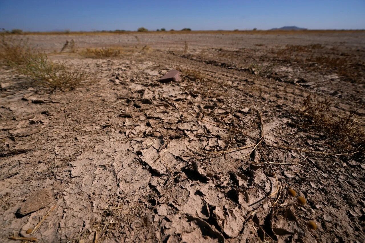 Период засухи. Засуха Узбекистан. Экологические катастрофы засуха. Засуха 2010 года. Засуха в США.