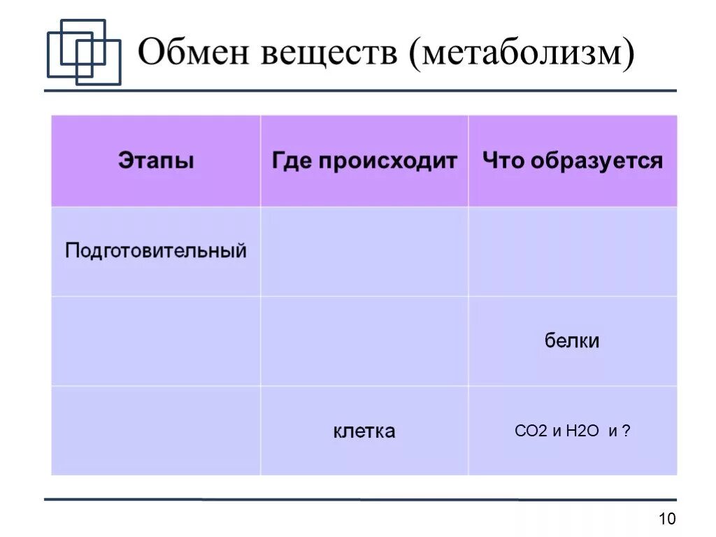 Подготовительный этап обмена белков. Где происходит подготовительная стадия. Белки подготовительный этап обмена веществ. Где происходит обмен веществ. Подготовительный этап белков