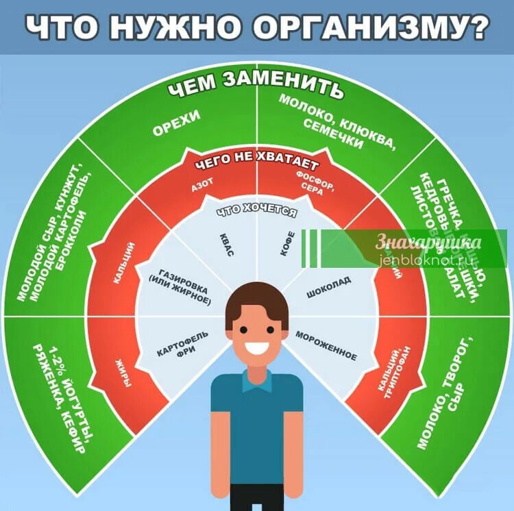 Что не хватает если хочется. Хочется сладкого что не хватает в организме. Как определить что не хватает организму. Чего ннзватаье организму. Чего не хватает если хочется чеснока.