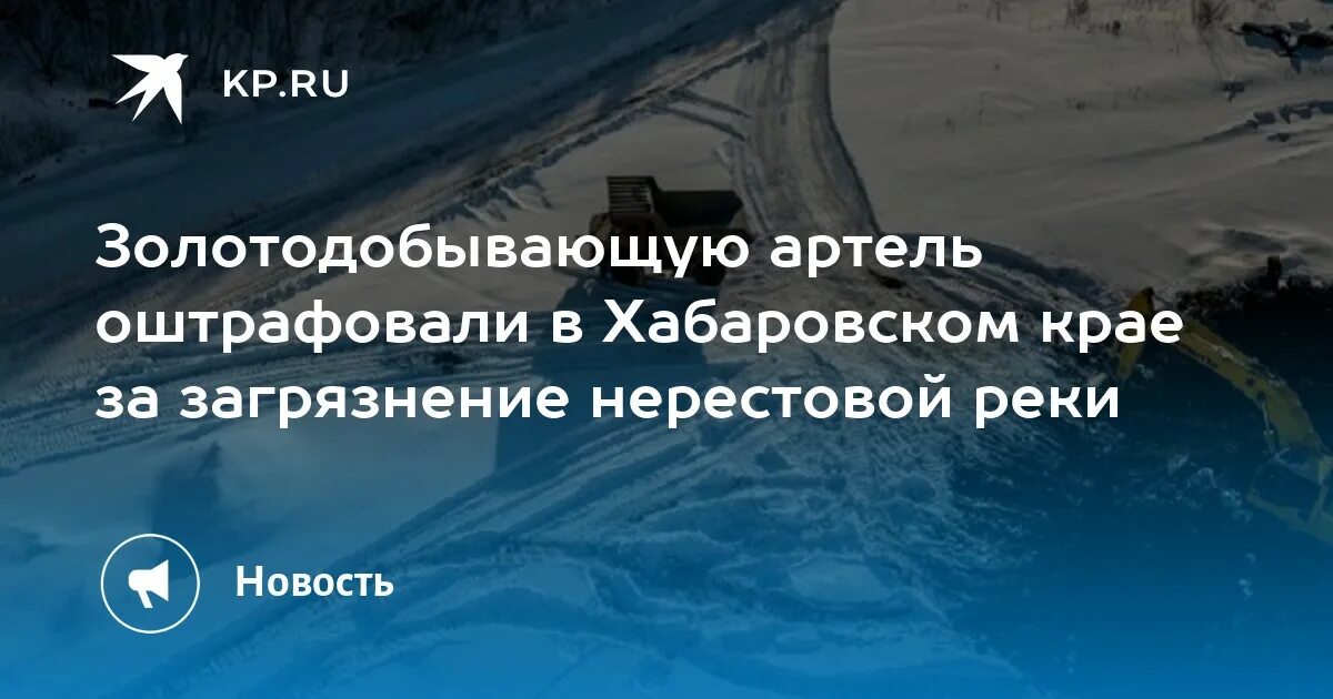 Нерестовый запрет в свердловской области 2024 году. В Хабаровском крае оштрафовали школьника.