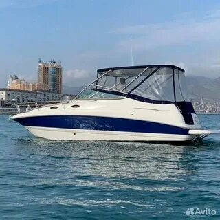 Катере 240