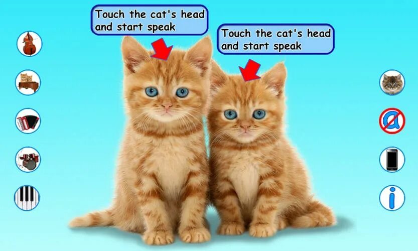 5 говорящих кошек. Котики на андроид 11. Коты Android 7. Говорящие котики видео. Альтернативная кошка.
