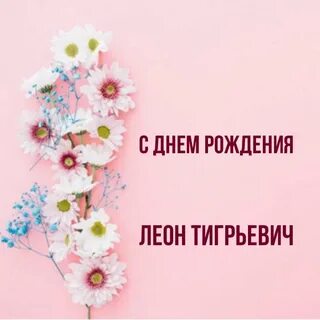 Дата рождения леона