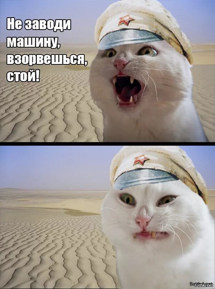 Кот на заводе мем. Котик на заводе. на завод мем коты.