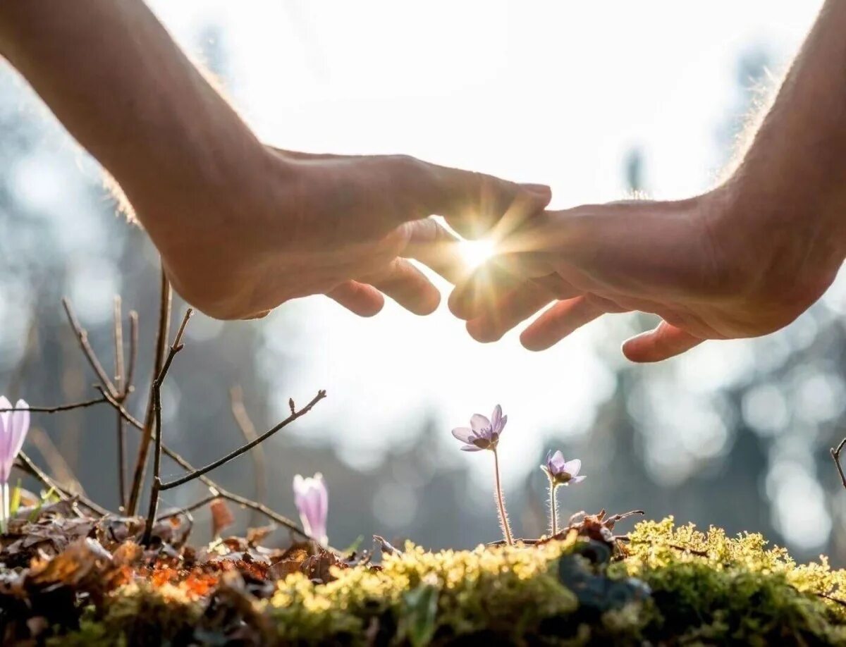 Как получить душе. Психологическая травма. Солнце радость. Как получить бесплатные души в мортал комбат мобайл. Психичесс кое здоровье.