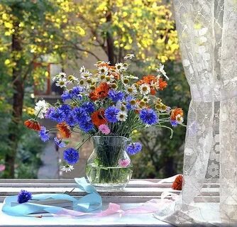 Утром за окном ярко
