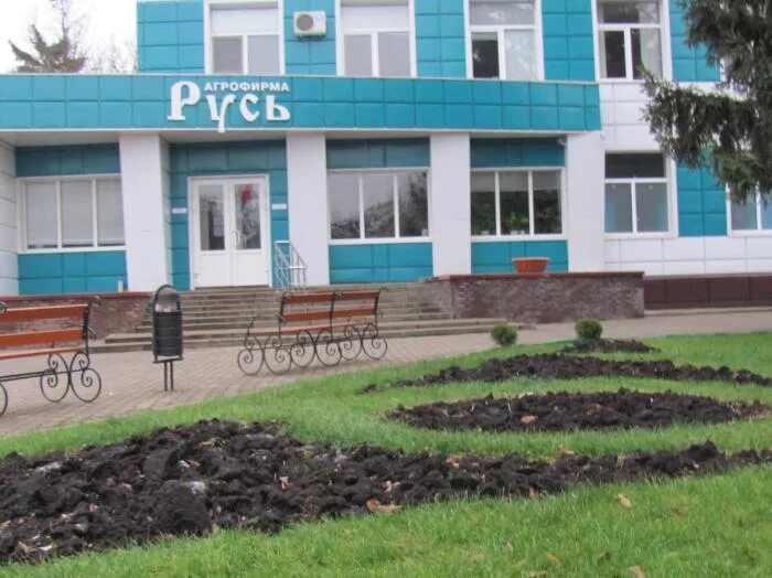 Русь короча. Агрофирма русь бехтеевка. Русь короча. Русь короча. Агрофирма русь бехтеевка.