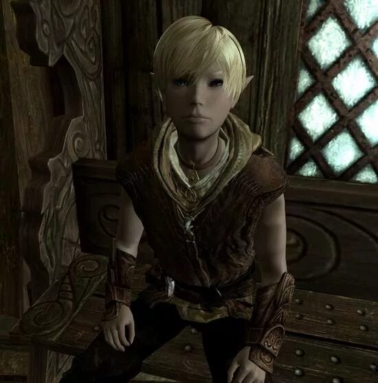 Скайрим усыновление. Скайрим ребенок редгард. Бретонцы скайрим дети. Девочки скайрим дети. Скайрим детский приют.