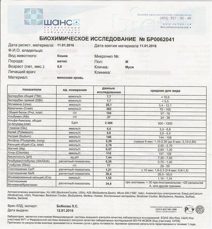 Норма креатинина у собак. Показатели мочи при почечной недостаточности. Показатели крови у кота при почечной недостаточности. Анализ крови при почечной недостаточности показатели. Почечная недостаточность у кошек анализ крови.