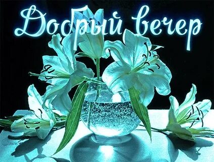 Добрый вечер гифки необычные нежные