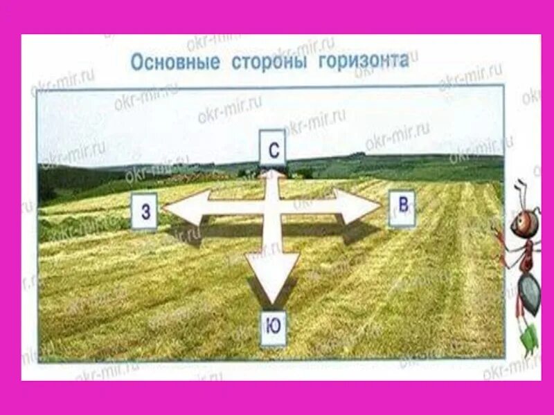 Посмотри вокруг конспект презентация. Укажи стороны горизонта. Горизонт линия горизонта стороны горизонта. Горизонты стороны света. Окружающий мир 2 стороны горизонта.