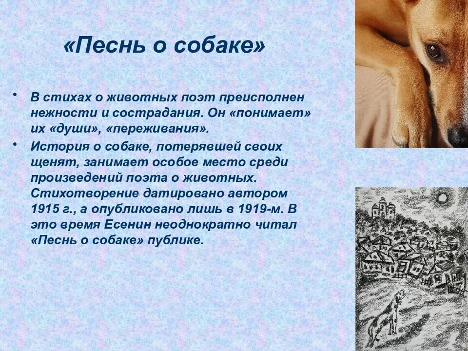 Сюжет стихотворения. Ощенила семерых щенят есенин. Жанр стихотворения песнь о собаке. Песнь о собаке. Есенин стихи песня пса.