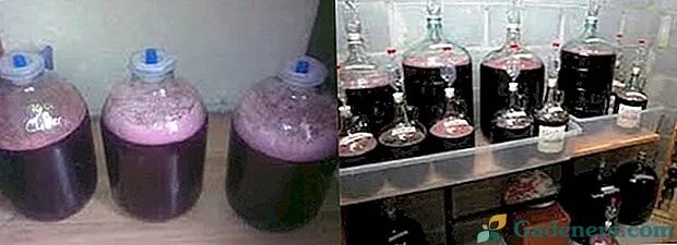 Популярные вопросы о вине: Сухой виноматериал - это винный порошок или нет? Что 